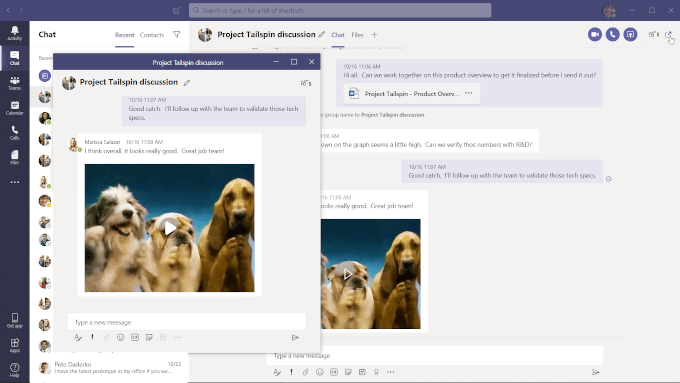MS Teams chat with dog screenshots